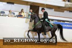 20_REGION9_03723 proof