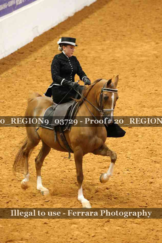 Proof 20_REGION9_03729