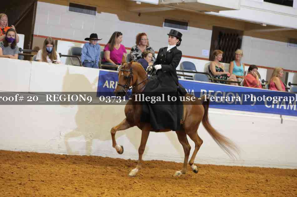 Proof 20_REGION9_03731