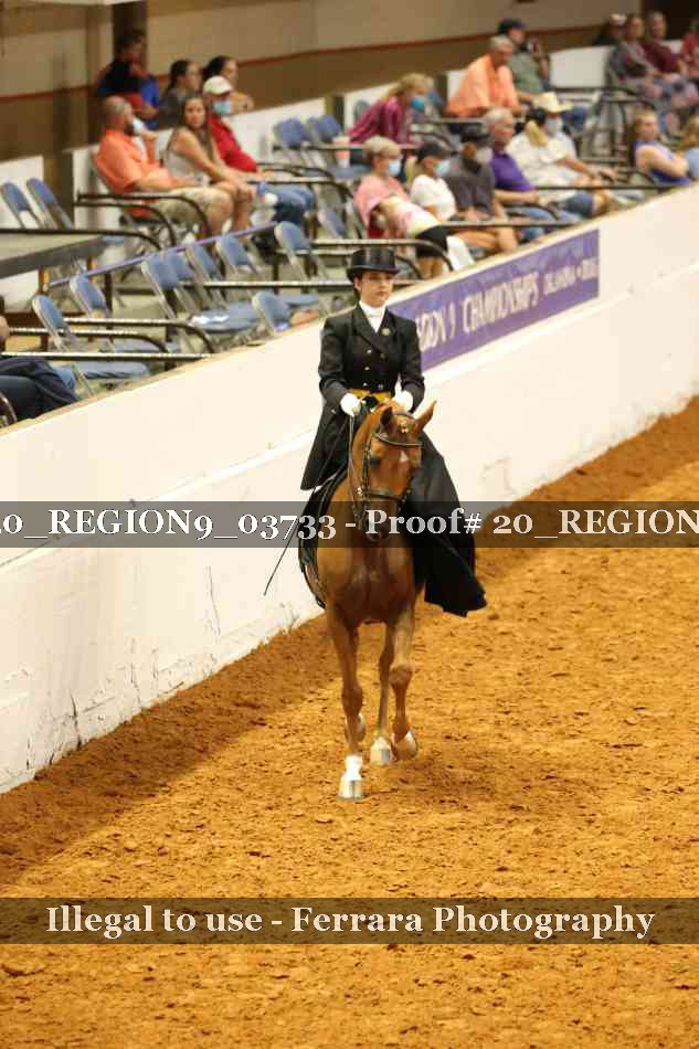Proof 20_REGION9_03733