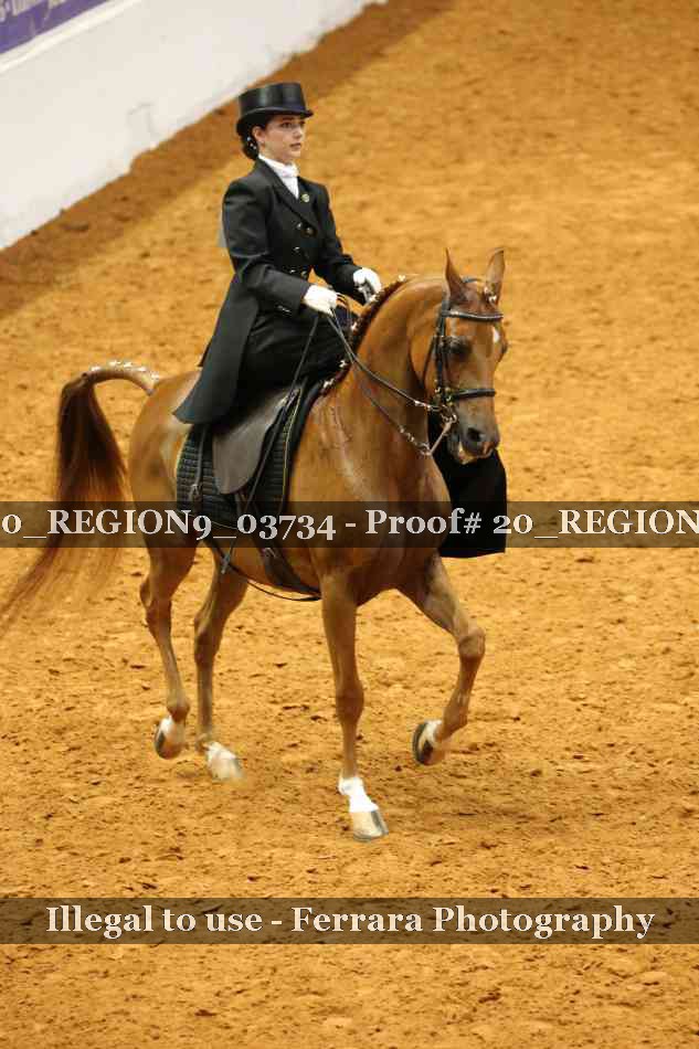 Proof 20_REGION9_03734