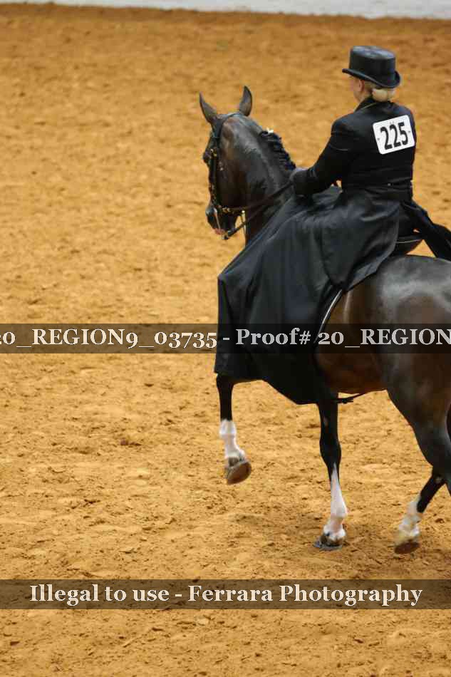 Proof 20_REGION9_03735