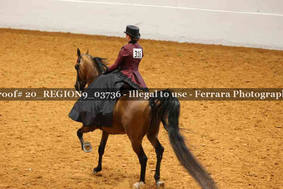 Proof 20_REGION9_03736