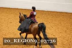 20_REGION9_03736 proof