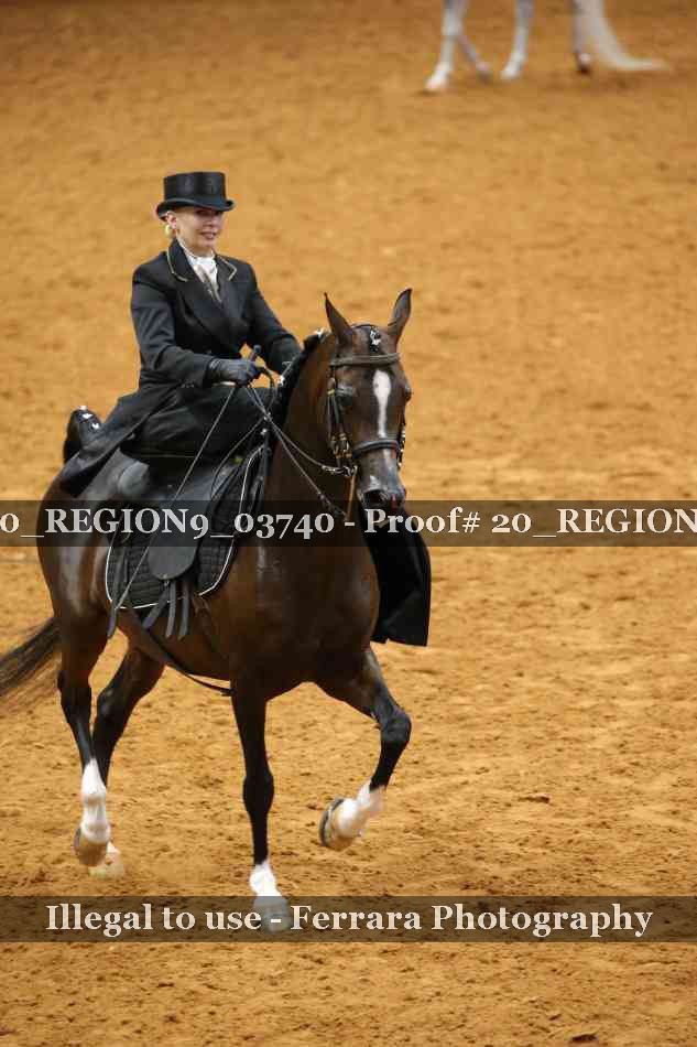 Proof 20_REGION9_03740
