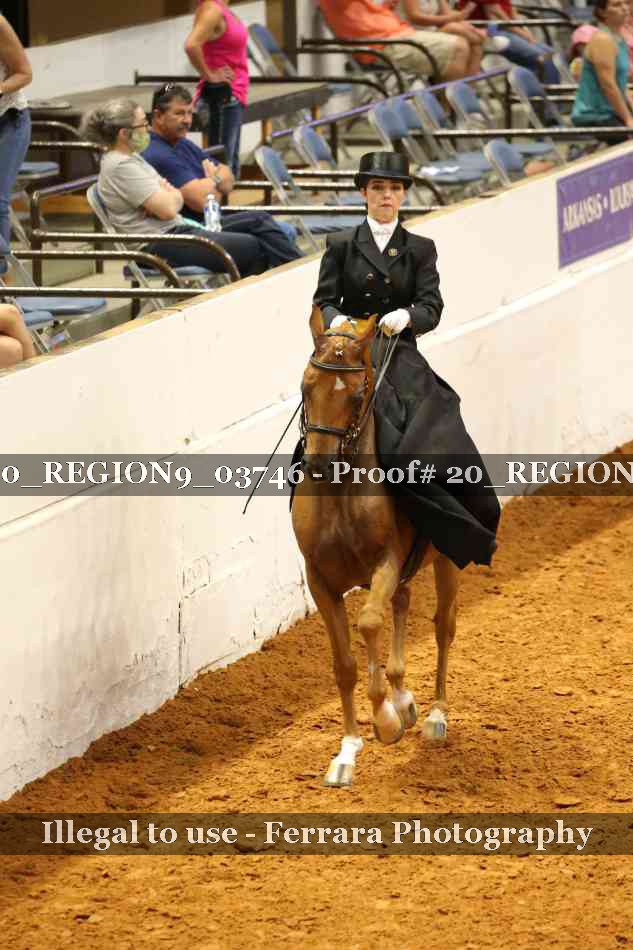 Proof 20_REGION9_03746