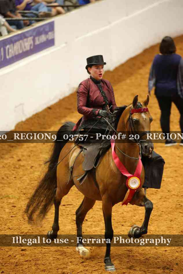 Proof 20_REGION9_03757