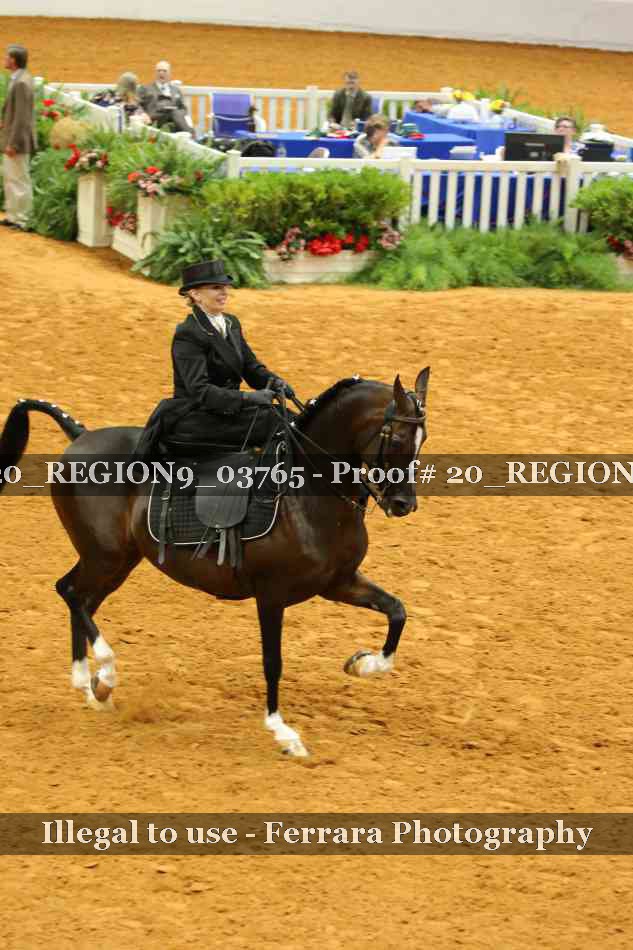 Proof 20_REGION9_03765