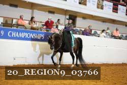 20_REGION9_03766 proof