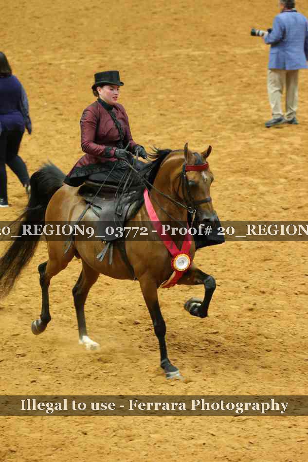 Proof 20_REGION9_03772