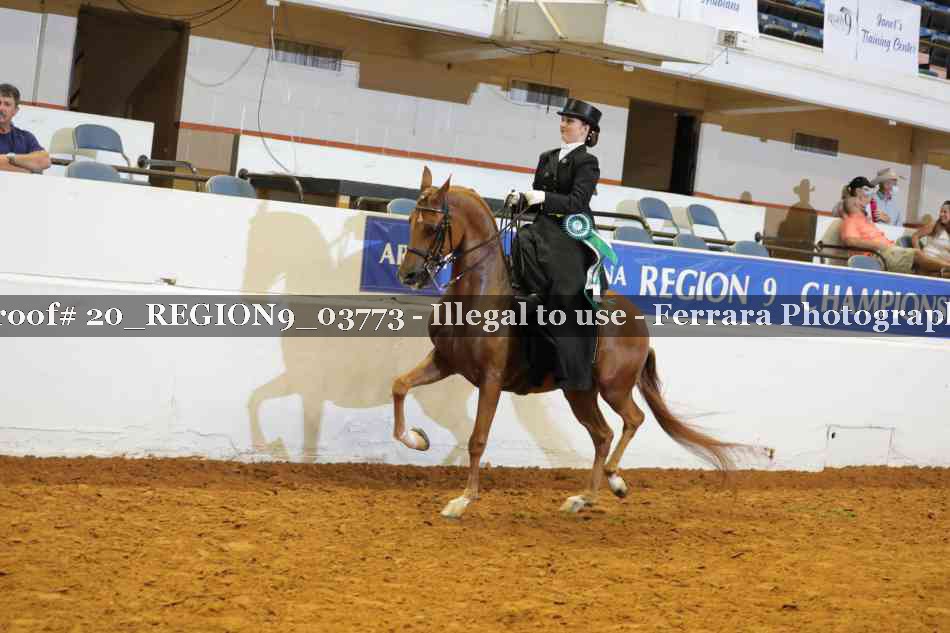 Proof 20_REGION9_03773