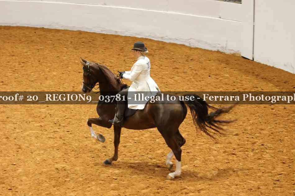 Proof 20_REGION9_03781
