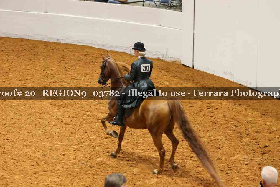 Proof 20_REGION9_03782