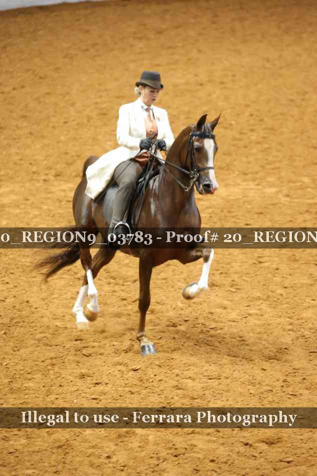 Proof 20_REGION9_03783