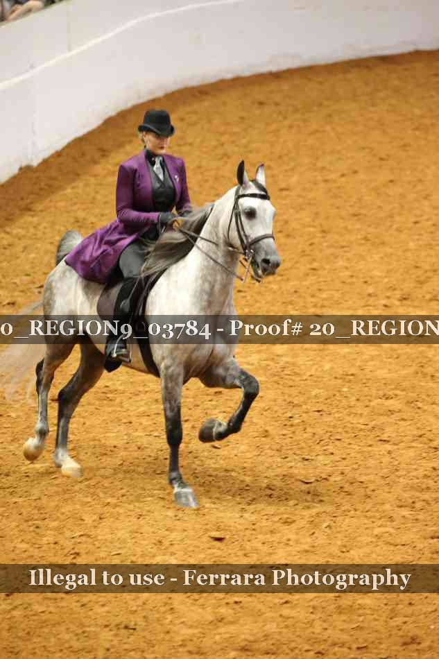 Proof 20_REGION9_03784