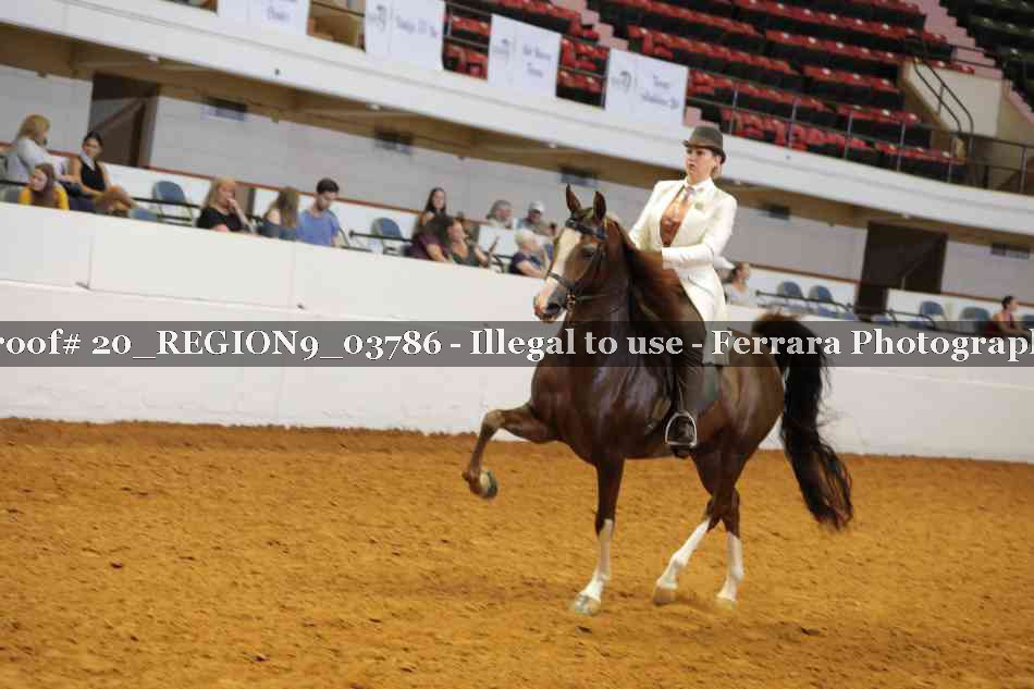 Proof 20_REGION9_03786