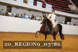 20_REGION9_03786 proof