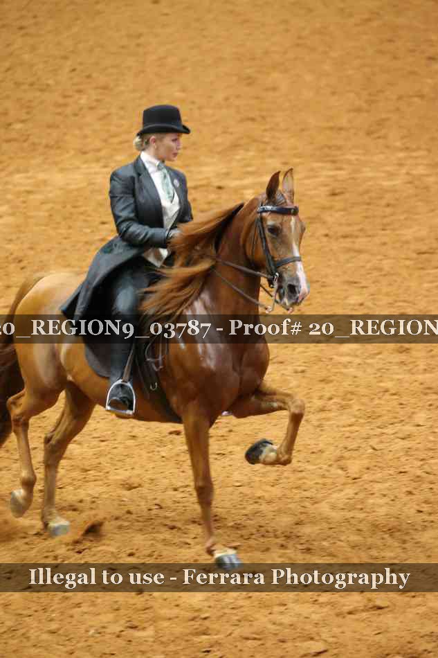 Proof 20_REGION9_03787
