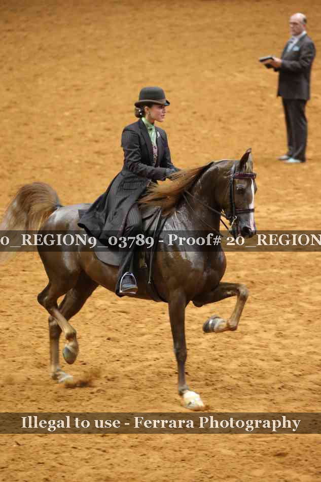 Proof 20_REGION9_03789