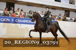 20_REGION9_03791 proof