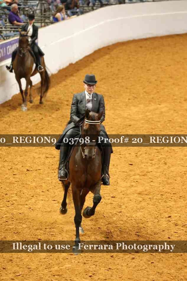 Proof 20_REGION9_03798
