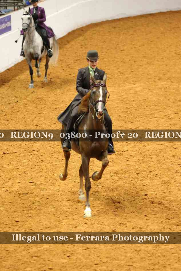 Proof 20_REGION9_03800