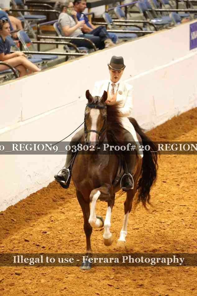 Proof 20_REGION9_03802