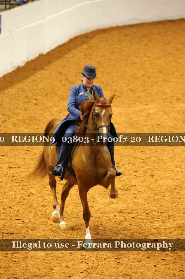 Proof 20_REGION9_03803
