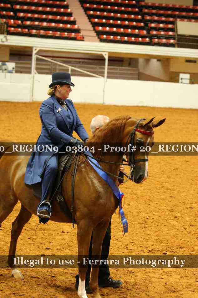 Proof 20_REGION9_03804