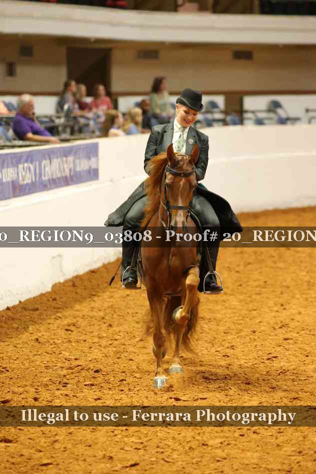 Proof 20_REGION9_03808