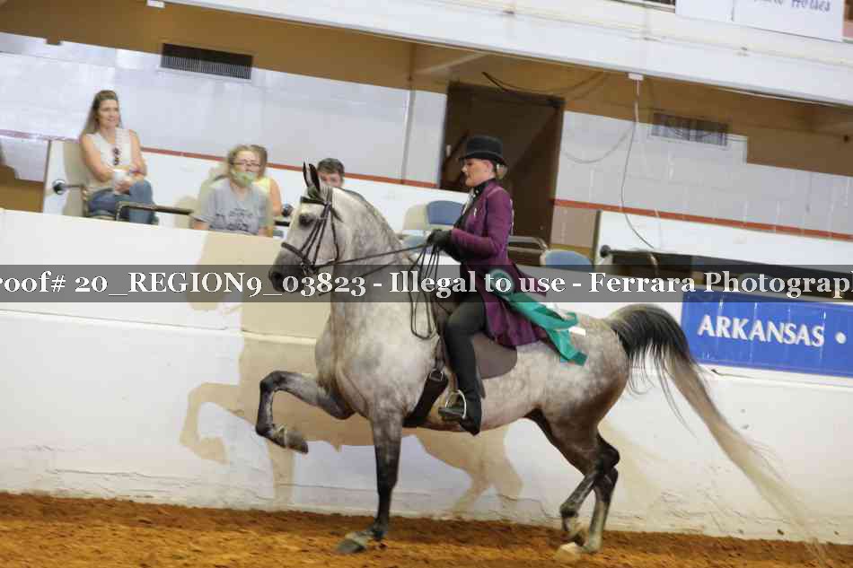 Proof 20_REGION9_03823