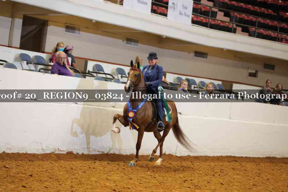 Proof 20_REGION9_03824