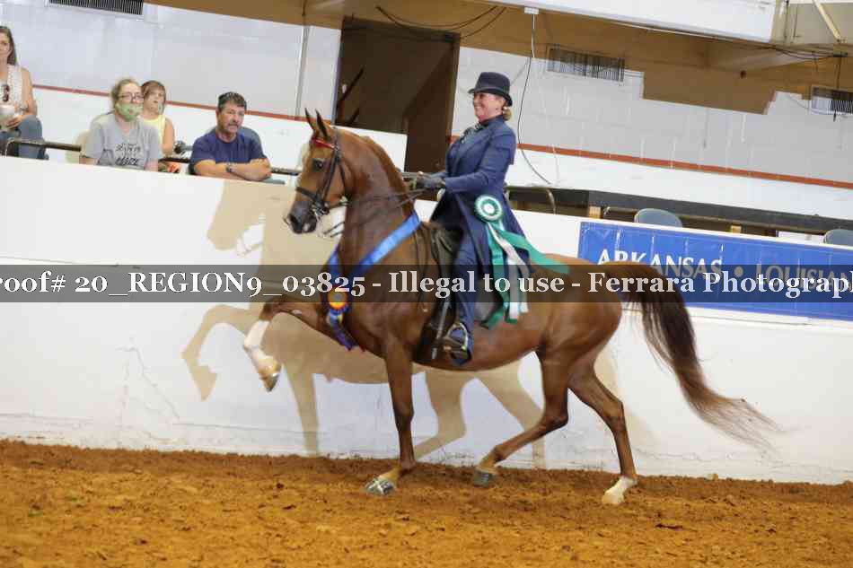 Proof 20_REGION9_03825