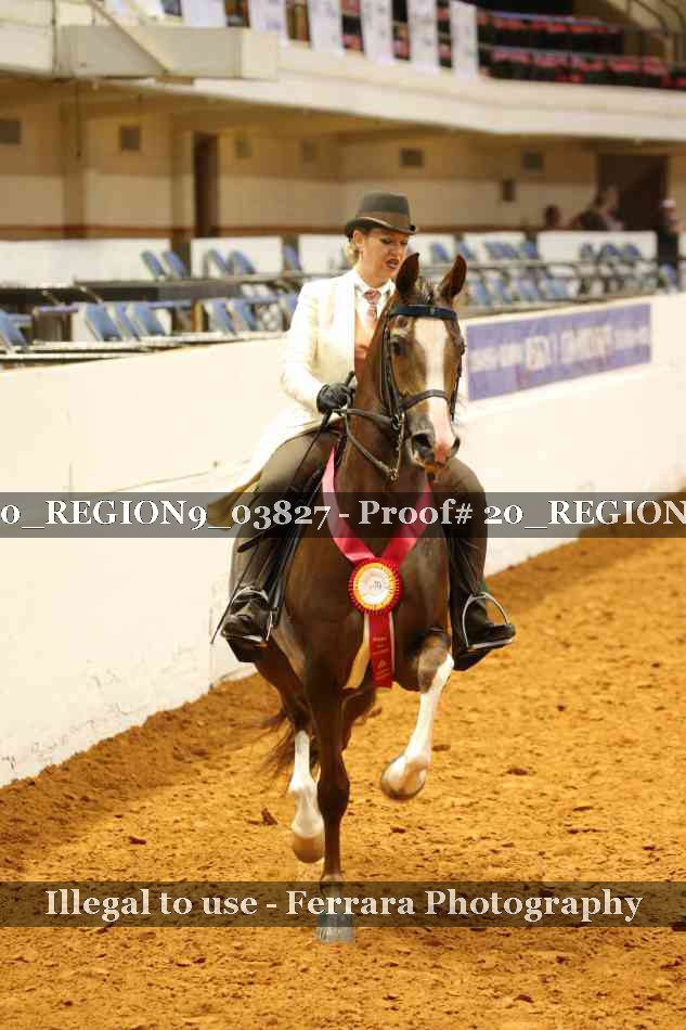 Proof 20_REGION9_03827