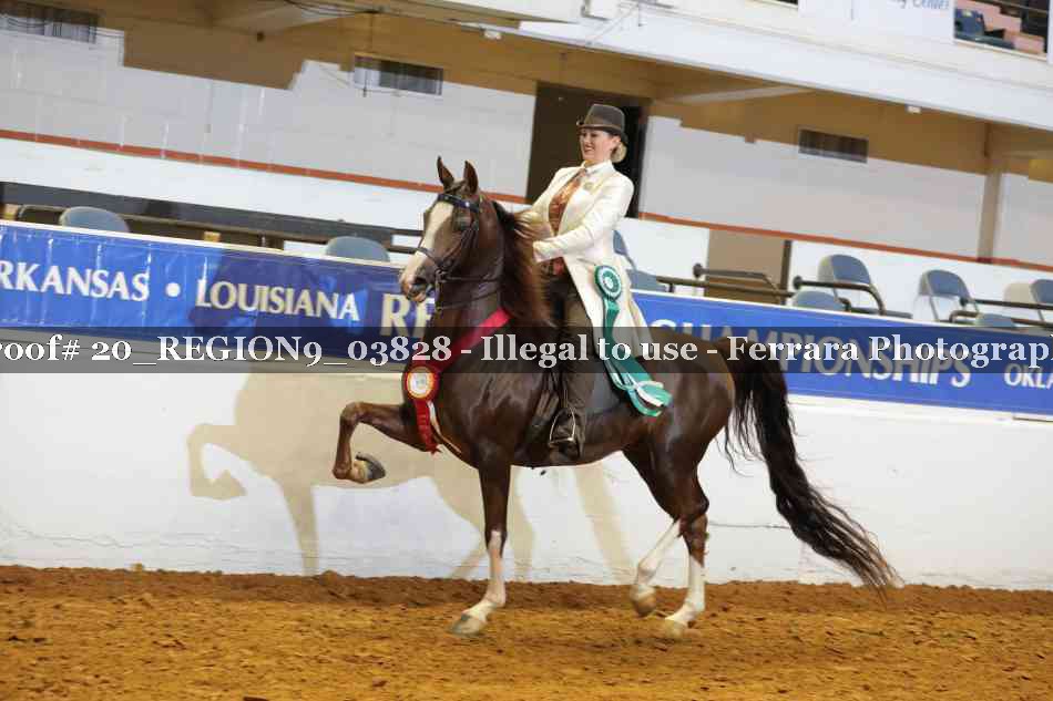 Proof 20_REGION9_03828