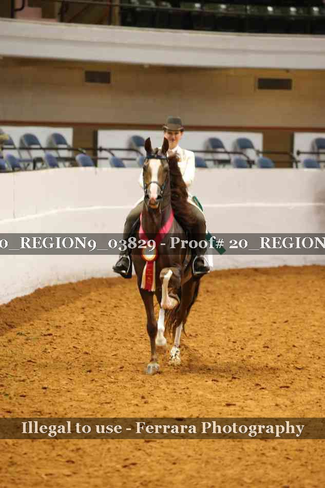 Proof 20_REGION9_03829