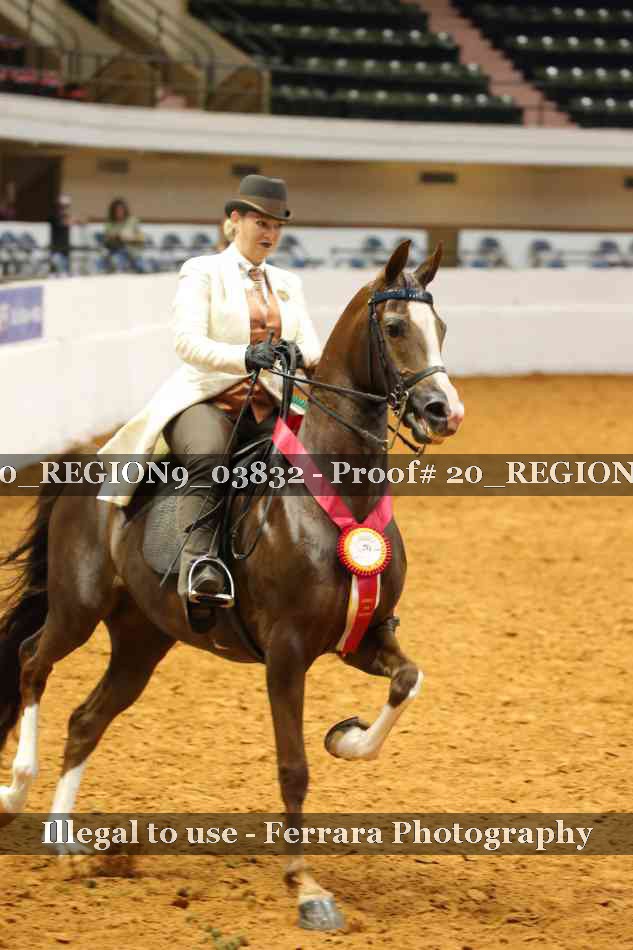 Proof 20_REGION9_03832
