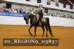 20_REGION9_03837 proof