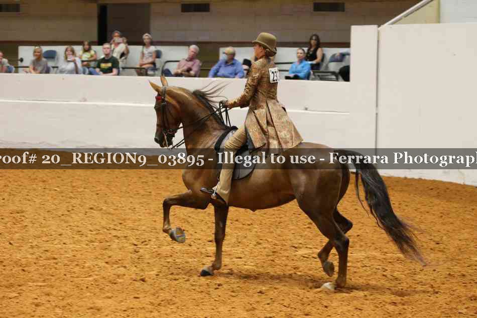 Proof 20_REGION9_03895