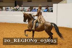 20_REGION9_03895 proof