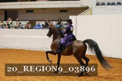 20_REGION9_03896 proof