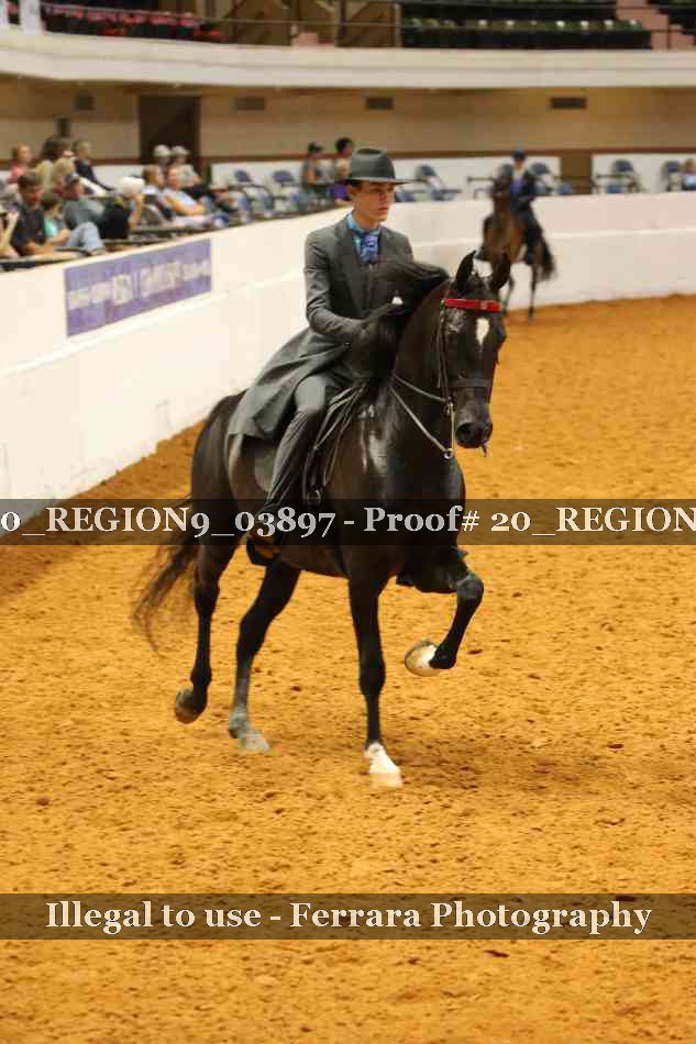 Proof 20_REGION9_03897