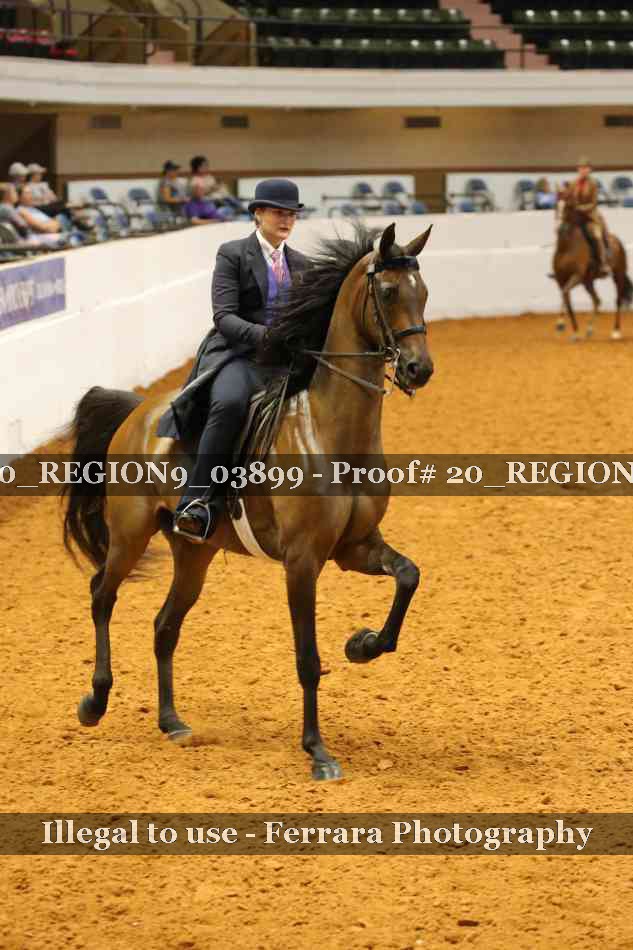 Proof 20_REGION9_03899