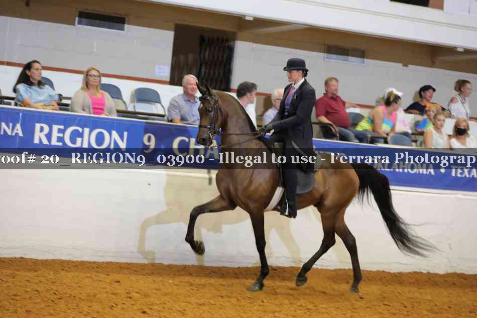 Proof 20_REGION9_03900
