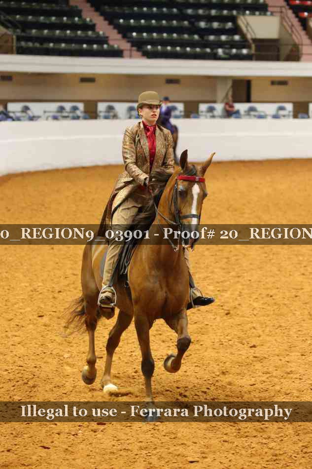 Proof 20_REGION9_03901