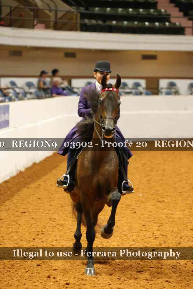 Proof 20_REGION9_03902