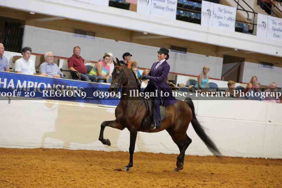 Proof 20_REGION9_03904