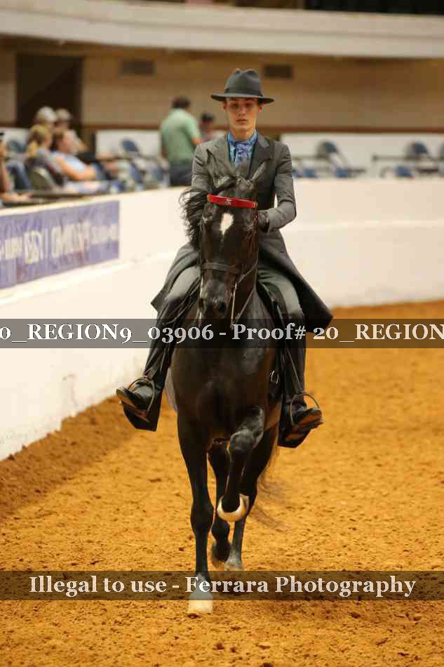 Proof 20_REGION9_03906