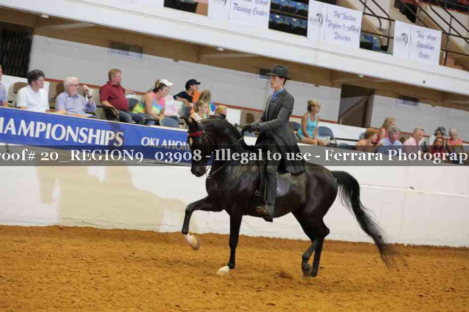Proof 20_REGION9_03908