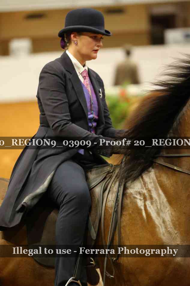 Proof 20_REGION9_03909